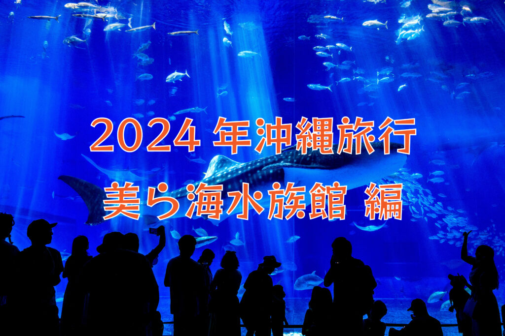 きたぞ沖縄！子供と楽しむ2024年沖縄旅行！　～美ら海水族館編～