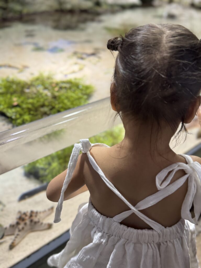 美ら海水族館2