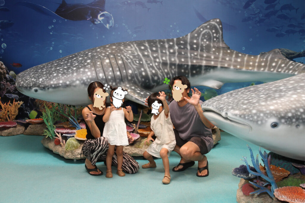 美ら海水族館6
